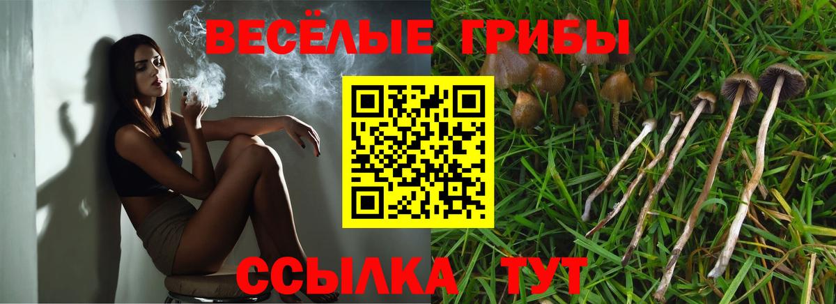 Псилоцибиновые грибы Magic Shrooms Асино